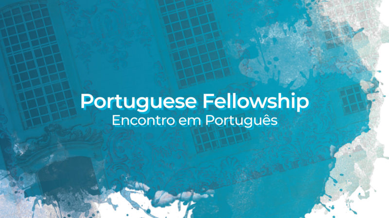ILM Portuguese Fellowship