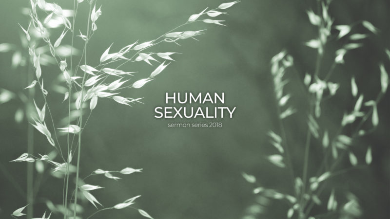 2018 Серия проповедей о человеческой сексуальности