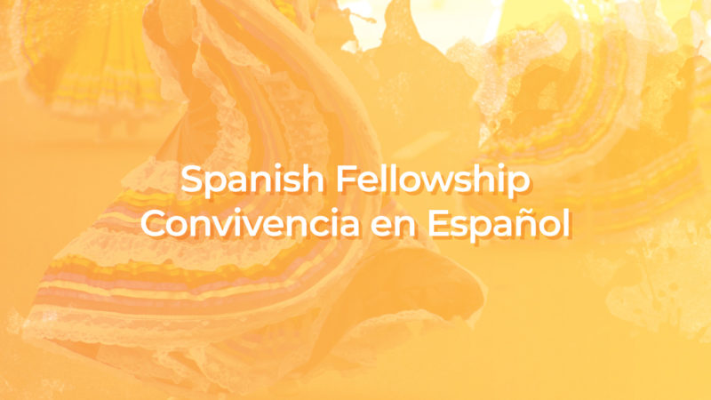 ILM Spanish Fellowship