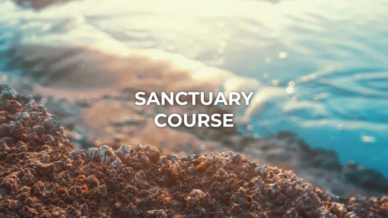 Sanctuary Course Title graphic